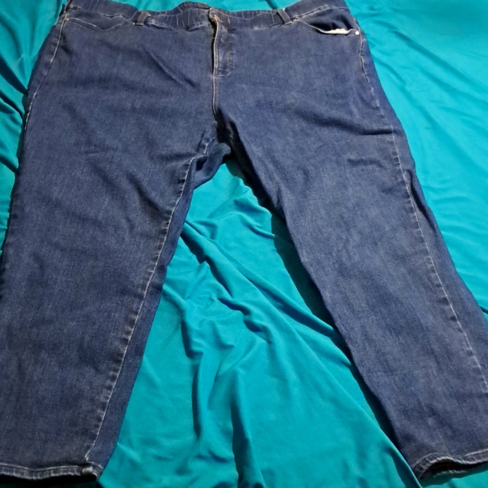 Women's Univeral Standard Blue Jeans Size 28, Zip up front
